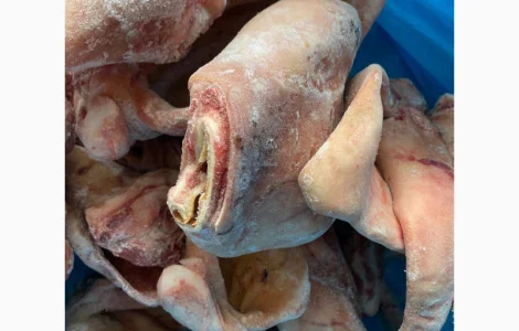 Продам субпродукты куриные