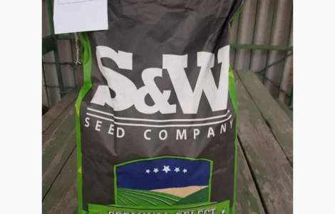 Зернове сорго Зуні