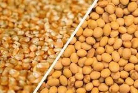 Приймаємо половинки сої, відходи кукурудзи