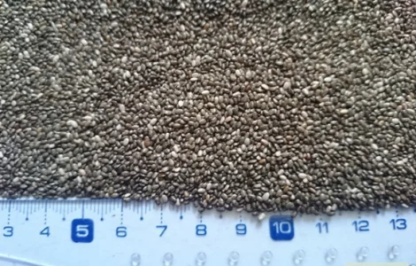 Семена Чии из Аргентины и Парагвая