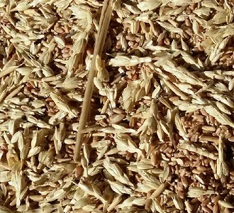 Покупаю отходы: зерновых