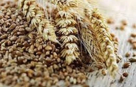 Покупаем с самовывозом отходы с.х. культур