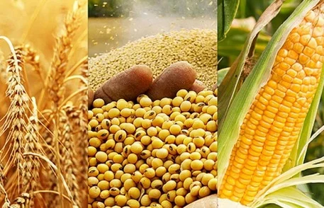 Закупаем отходы кукурузы, пшеницы, сои, подсолнечника