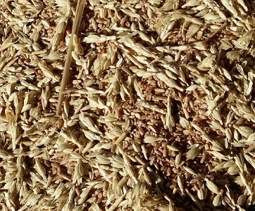 Покупаю зерноотходы. Работаю с посредниками