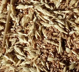 Куплю Зерноотходы. Масличные отходы. Бобовые отходы