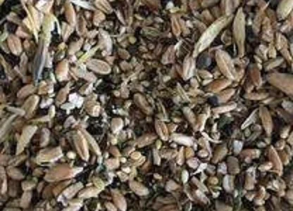 Куплю некондицію та зерновідходи. Самовивіз