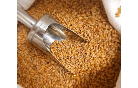 Куплю зернові відходи, некондицію