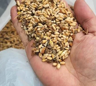 Закупаем с самовывозом зерноотходы, некондицию