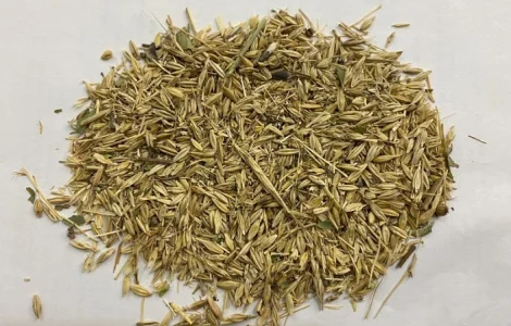 Закупаем зерноотходы, некондицию сельскохозяйственных культур