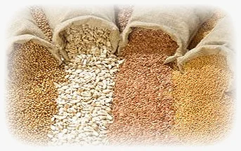 Зерновые и масличные культуры (ПРОДАЖА)