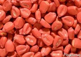 Прострочений посів.мат.кукурудзи, соняшнику