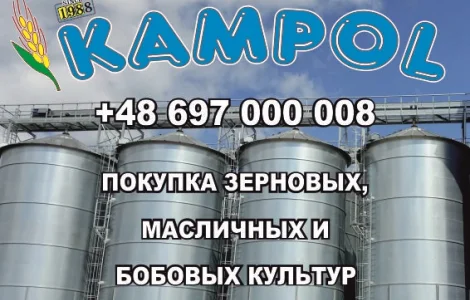 Куплю сорго белое, красное, просо