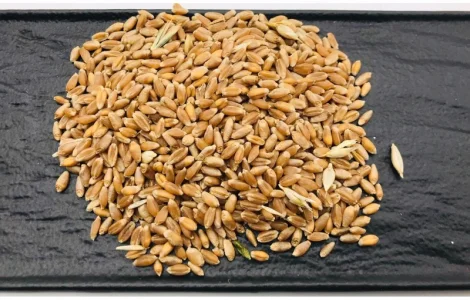 Купуємо зерновідходи, некондицію, самовивіз