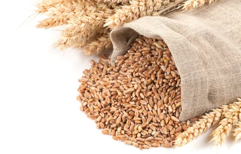 Закупляємо пшеницю ( 2/3/4 клас) Черкаська область