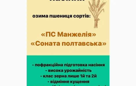 Насіння озимої пшениці високої якості