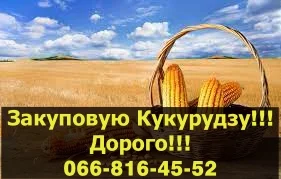 Підприємство купує Кукурудзу