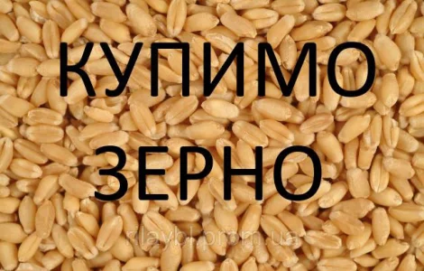 Компанія на постійній основі проводить закупівлю зернових культур та інші