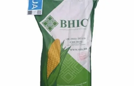 Насіння кукурудзи Тесла ФАО-350 у продажу