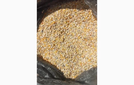 Підприємство купує побічний продукт обо зерновідходи кукурудзи