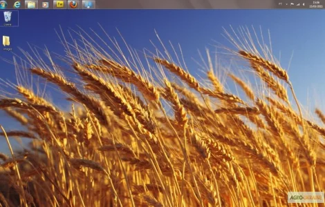 Куплю пшеницу самовывоз