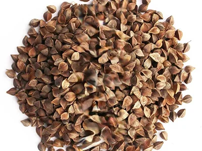 Гречка. Новий врожай. Опт