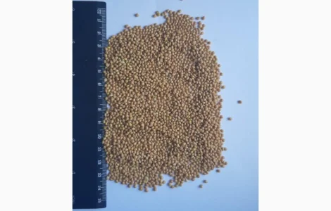 Просо продажа на экспорт