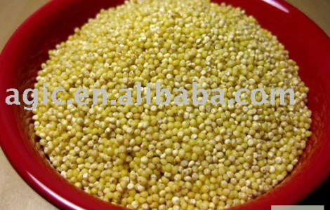 Куплю просо жолтое красное на самовывоз