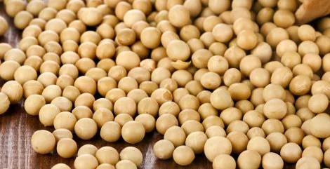 Есть покупатели сои на экспорт внутрений рынок. От производителя