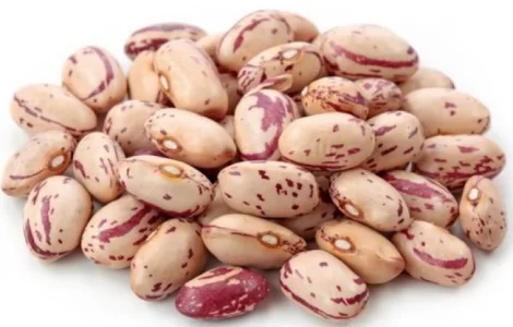 Куплю фасоль