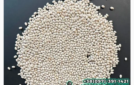 Квасоля Насіння Мавка Невібінс Лаура