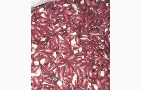 Продаем фасоль на корм животным