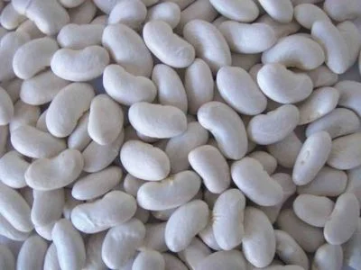 Куплю фасоль