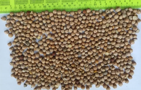 Продам зерно відходи