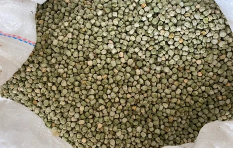 Продам семена сахарного гороха