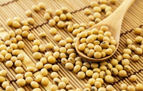 Закупаю половинки сои и отходы кукурузу