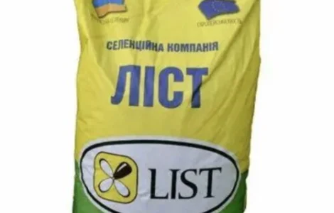 Насіння соняшника Командор (А-G) – ранньостиглий гібрид