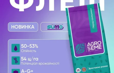 Насіння соняшника гібрид Флеш від виробника