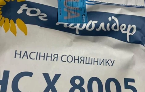 Насіння подсолнечника гибрид НС Х 8005