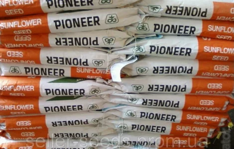 Насіння соняшника PIONEER P64LE99 (П64ЛЕ99) в продаже