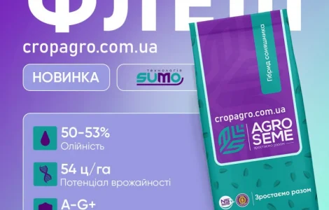 Насіння соняшника Флеш – ранній гібрид під Гранстар