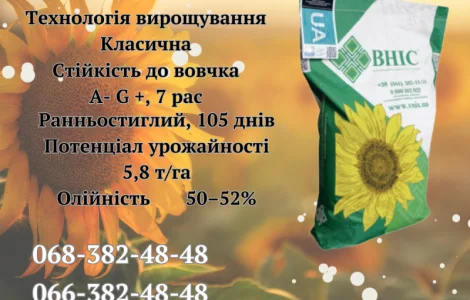 Насіння соняшника ЛАЙМ (екстра) 2023 года