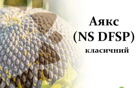 Насіння соняшника Аякс – високоякісний посівний матеріал