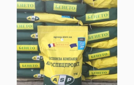 Семена соняшника Бенето F1 від виробника