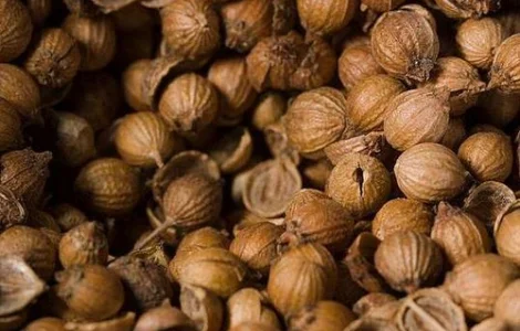 Куплю коріандр дорого за наличные