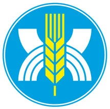 Мука в/с оптом
