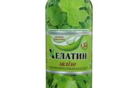 Хелатин Железо 1
