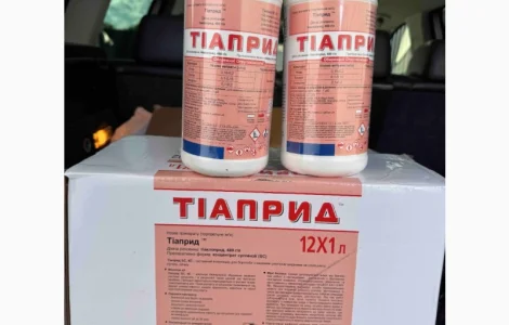 Тиаприд – системный инсектицид для борьбы с комплексом вредителей на рапсе