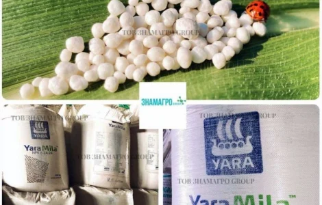 Удобрения YaraMila 8-24-24 (ЯраМила)