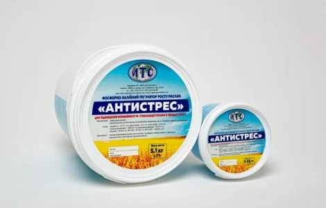Фосфорно - Калійний регулятор росту рослин з кріопротекторними властивостями "Антистрес"