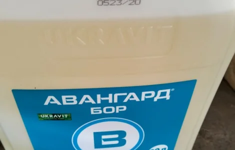 Авангард БОР – удобрение